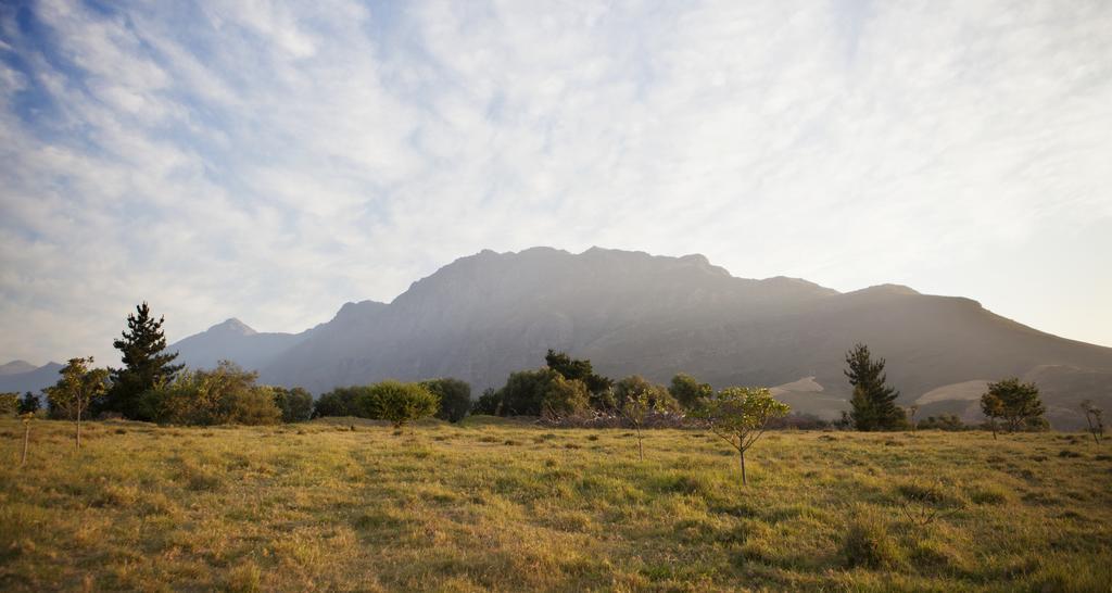 Rozendal Stay Stellenbosch Exteriör bild