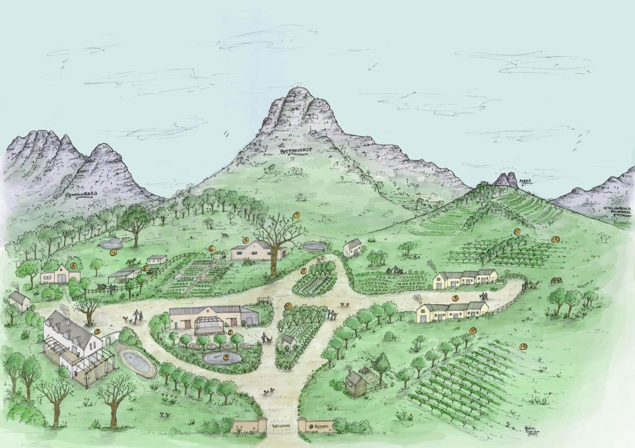 Rozendal Stay Stellenbosch Exteriör bild