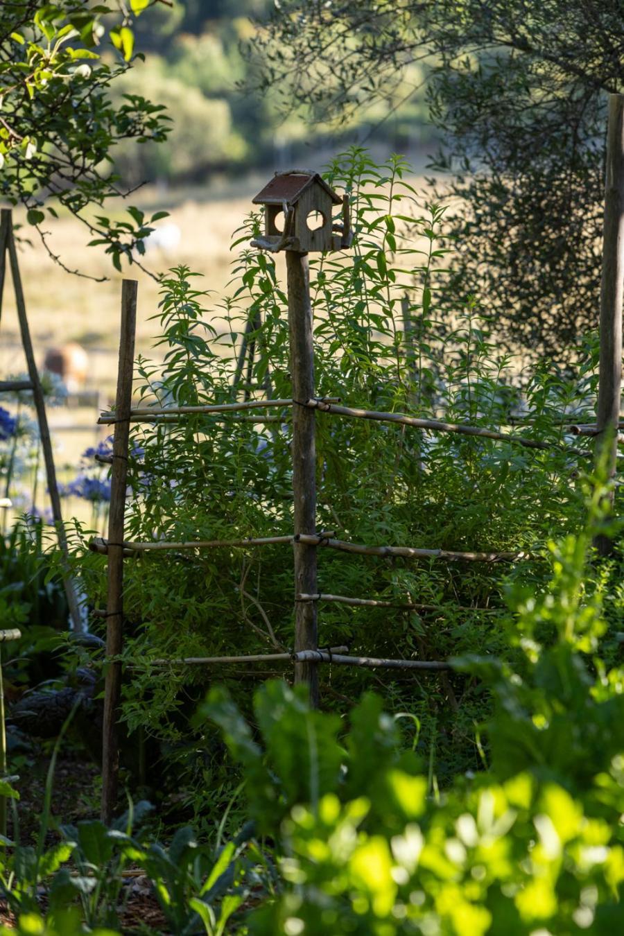 Rozendal Stay Stellenbosch Exteriör bild
