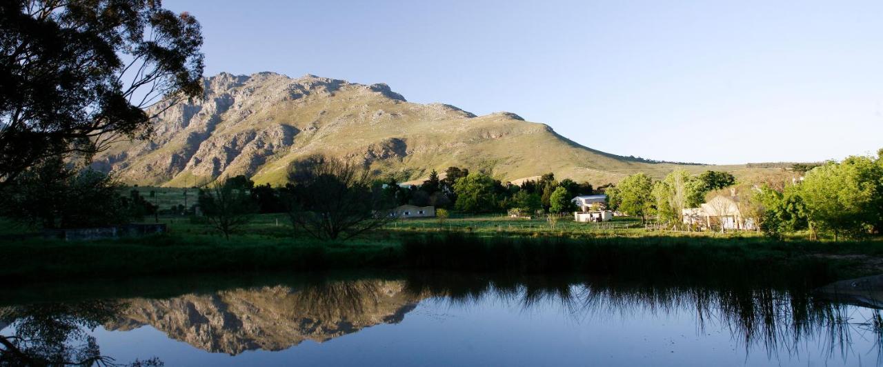 Rozendal Stay Stellenbosch Exteriör bild